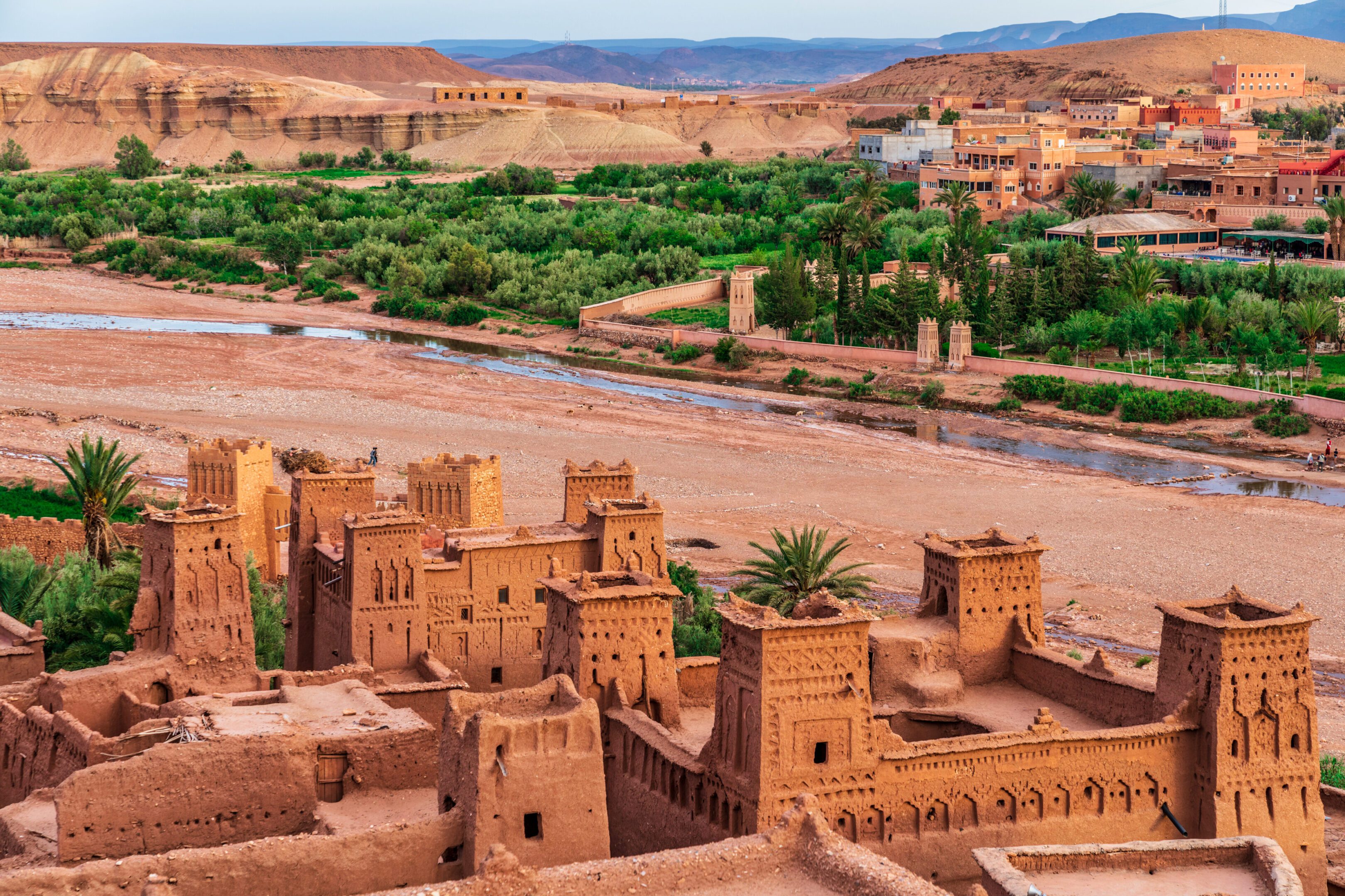 Historic clay buildings near lush oasis