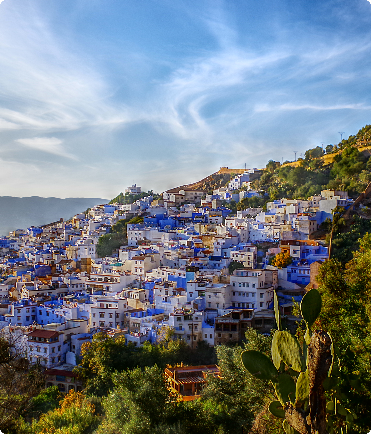 Scenic town with vibrant blue buildings