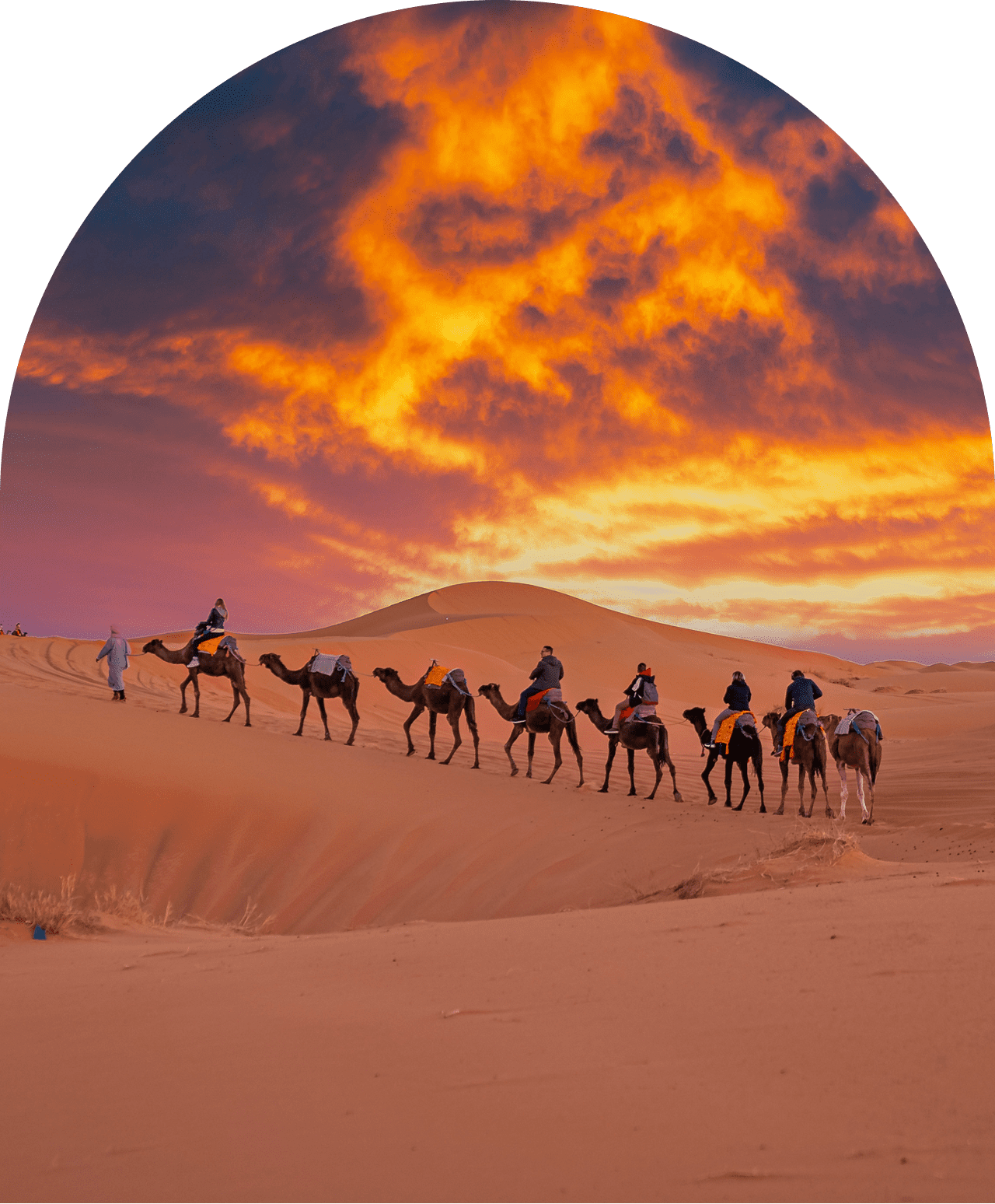 Caravan crossing the sand dunes